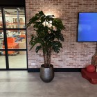 kunstplanten-kantoor-6 kunstplanten-kantoor-6