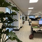 kunstplanten-kantoor-7 kunstplanten-kantoor-7