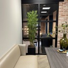 kunstplanten-kantoor-8 kunstplanten-kantoor-8