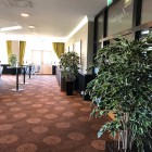 kunstplanten-valk-2 kunstplanten-valk-2