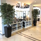 kunstplanten-valk-4 kunstplanten-valk-4