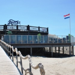 Nieuwe kunstplanten voor Beachclub Perry's