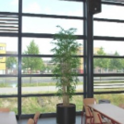 Mooie projektbeplanting met  kunstplanten voor Munnikenheide College te Etten-Leur