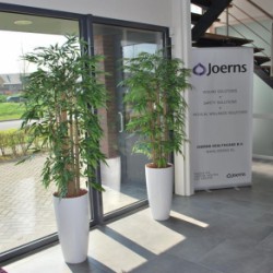 Kunstplanten voor de firma Joerns te Houten