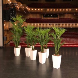 Kunst Kentia palmen voor DNK theater te Assen
