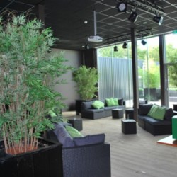Nieuwe bamboe kunstplanten voor A3 vastgoed onderhoud te Eemnes.