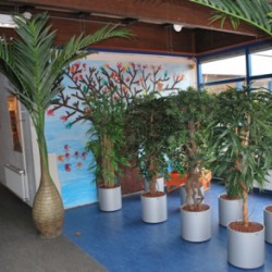 Nieuwe kunstplanten voor Basisschool de Grundel te Lelystad