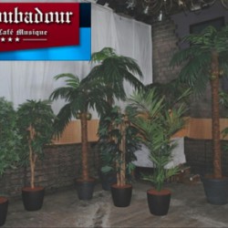 Palmpasen in de Troubadour te Hardenberg