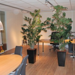 Nieuwe kunstplanten in nieuw bedrijfspand van Huzonwe te Genemuiden