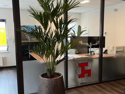 Kunstplanten in mooie plantenbakken voor bouwbedrijf Kuin Kunstplanten in mooie plantenbakken voor bouwbedrijf Kuin