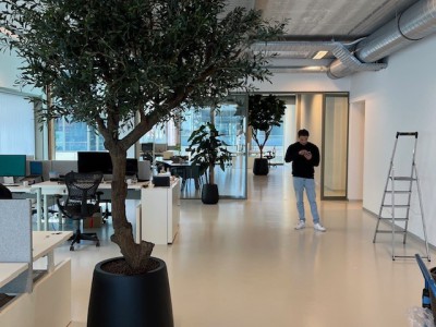 De Groot Decoraties: Levensechte kunstplanten die elk interieur verrijken De Groot Decoraties: Levensechte kunstplanten die elk interieur verrijken