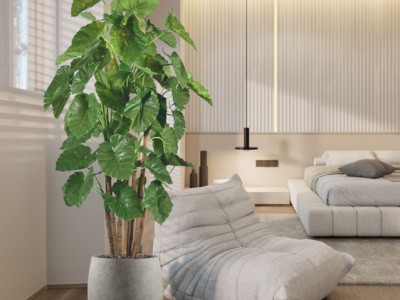 Kunst Alocasia Deluxe - Een blikvanger van topkwaliteit