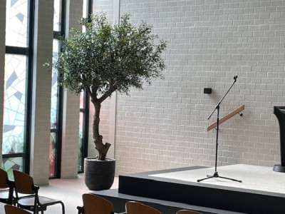Mooie kunstplanten voor Magnificat kerk te Tiel Mooie kunstplanten voor Magnificat kerk te Tiel