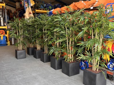 Nieuwe kunstplanten voor de firma Party Verhuur Zwolle! Nieuwe kunstplanten voor de firma Party Verhuur Zwolle!