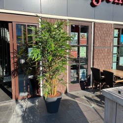 Nieuwe kunst Bamboe's voor Cultuurcentrum de Ogtent in Duiven. Nieuwe kunst Bamboe's voor Cultuurcentrum de Ogtent in Duiven.