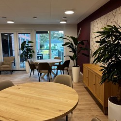 Woonlocatie Geert de Leeuw in Enschede - 32 kunstplanten om de hele locatie sfeer te geven Woonlocatie Geert de Leeuw in Enschede - 32 kunstplanten om de hele locatie sfeer te geven