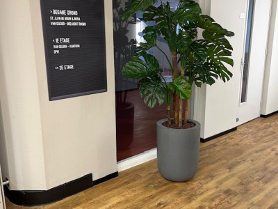 Kunstplanten in Sierpotten Geleverd aan Bouw en Infrapark Harderwijk Kunstplanten in Sierpotten Geleverd aan Bouw en Infrapark Harderwijk