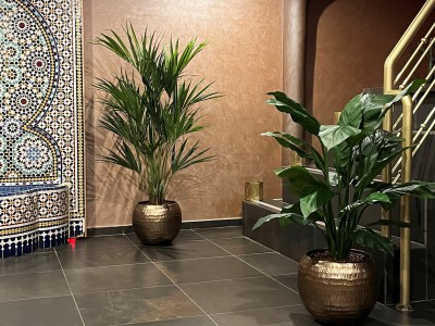 Kunstplanten ideaal om een Oosterse sfeer te creëren Kunstplanten ideaal om een Oosterse sfeer te creëren