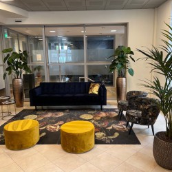 Mooie kunstplanten in Baq plantenbakken. Mooie kunstplanten in Baq plantenbakken.