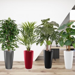 Kunstplanten op kantoor? Kunstplanten op kantoor?