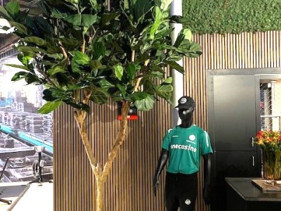Ficus Lyrata XL kunstboom Deluxe Ficus Lyrata XL kunstboom Deluxe