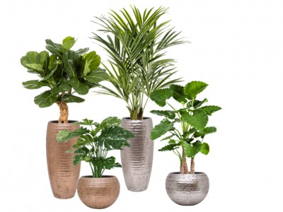 Baq Opus Hammered plantenbakken, mooi voor onze kunstplanten Baq Opus Hammered plantenbakken, mooi voor onze kunstplanten