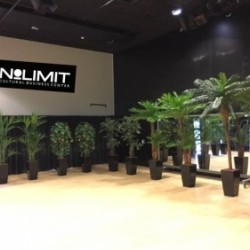 Kunstplanten voor NoLIMIT Amsterdam