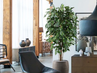 Ficus Exotica Deluxe - De mooiste kunstplanten bij De Interieurbeplanter Ficus Exotica Deluxe - De mooiste kunstplanten bij De Interieurbeplanter