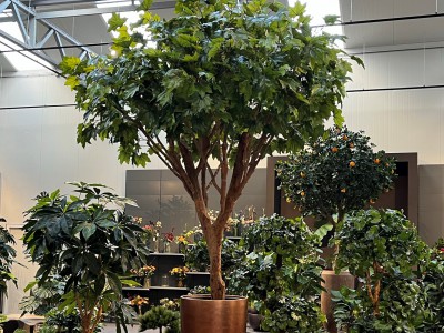 Kunstbomen: 5 inspiratietips met een grote kunstboom Kunstbomen: 5 inspiratietips met een grote kunstboom