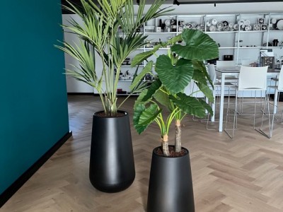The Lux Company te Harderwijk - kunstplanten voor de specialist in high-end verlichting The Lux Company te Harderwijk - kunstplanten voor de specialist in high-end verlichting