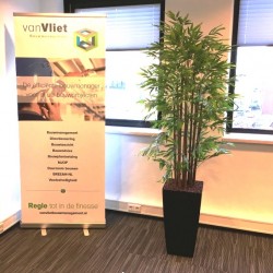 Kunstplanten voor Van Viet Bouwmanagement te Barendrecht