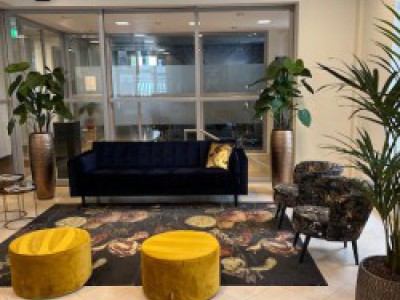 Daarom kiest u voor kunstplanten bij allergie, huisdieren of kinderen Daarom kiest u voor kunstplanten bij allergie, huisdieren of kinderen