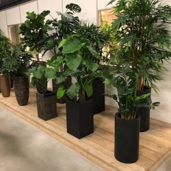 Kunstplanten in het echt bekijken? Dat kan ook op zaterdag! Kunstplanten in het echt bekijken? Dat kan ook op zaterdag!