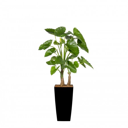 Kunstplant Alocasia Calidora Arrangement Kunstplant Alocasia Calidora Arrangement