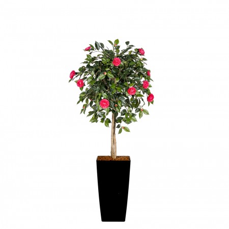 Kunstplant Camelia inclusief sierpot 170cm hoog Kunstplant Camelia inclusief sierpot 170cm hoog