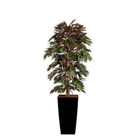 Kunstplant Capensia Arrangement Kunstplant Capensia Arrangement