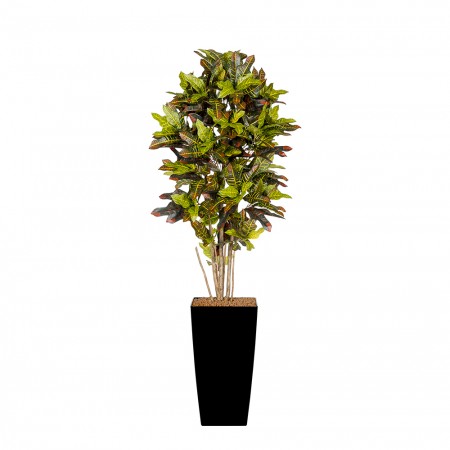 Kunstplant Croton Arrangement Kunstplant Croton Arrangement
