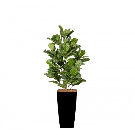 Kunstplant ficus Kunstplant ficus