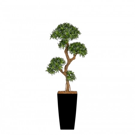 Kunstplant Podocarpus on Crazy Trunk Arrangement Kunstplant Podocarpus on Crazy Trunk Arrangement