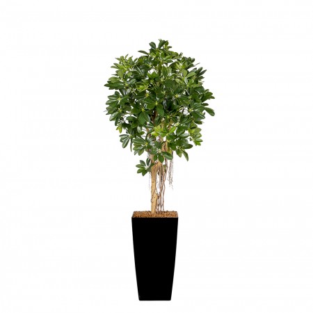 Kunstplant Schefflera Umbrella Arrangement Kunstplant Schefflera Umbrella Arrangement