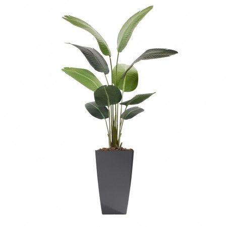 Kunst Strelitzia Nicolai arrangement Kunst Strelitzia Nicolai arrangement