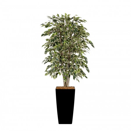 Kunstplant Ficus Exotica Bont Arrangement Kunstplant Ficus Exotica Bont Arrangement