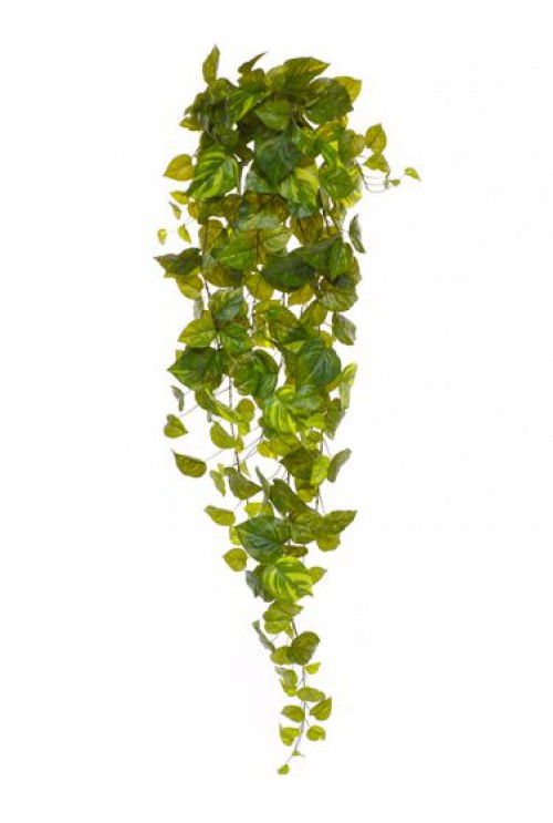 Pothos kunsthangplant 130 cm bont Pothos kunsthangplant 130 cm bont