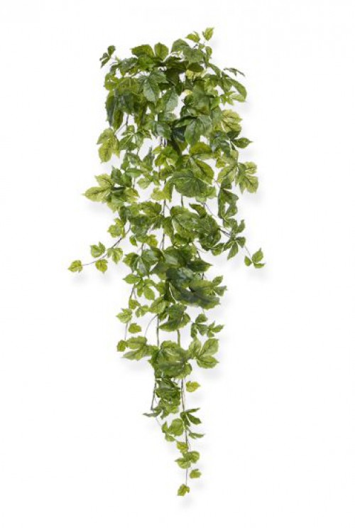 Maple kunsthangplant 90 cm groen Maple kunsthangplant 90 cm groen