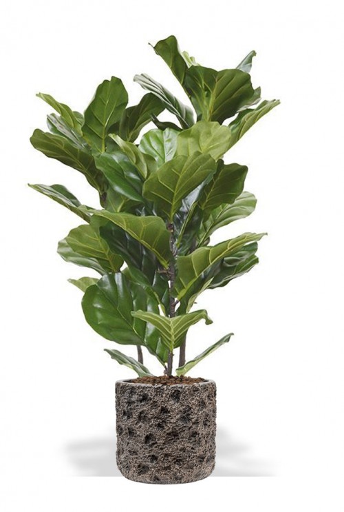 Kunst Ficus Lyrata 95cm Kunst Ficus Lyrata 95cm