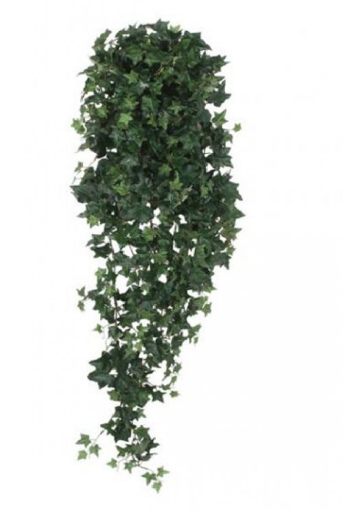 Hedera 120cm groen