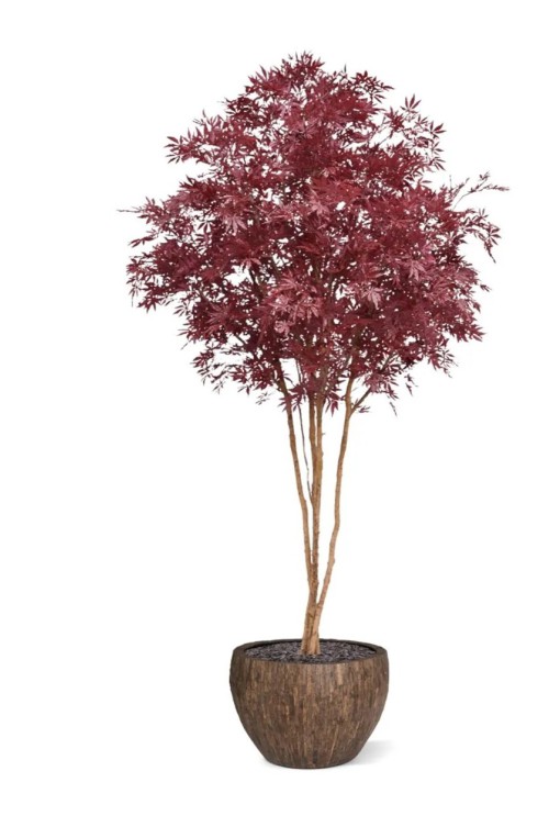 Japanse Acer Kunstboom Deluxe 325cm Burgundy Japanse Acer Kunstboom Deluxe 325cm Burgundy