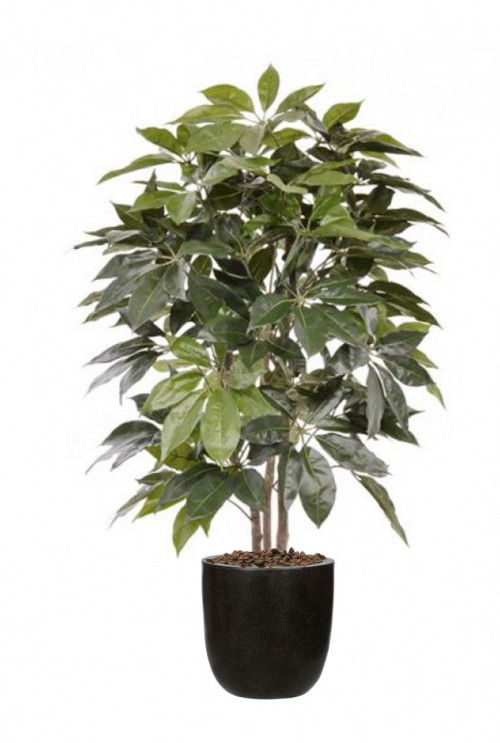 Schefflera Amate Kunstplant 150cm