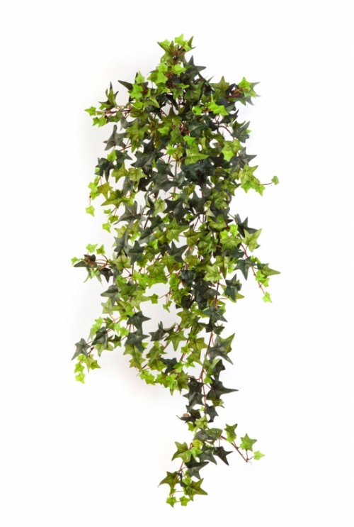 Kunsthangplant-Star-Ivy Kunsthangplant-Star-Ivy