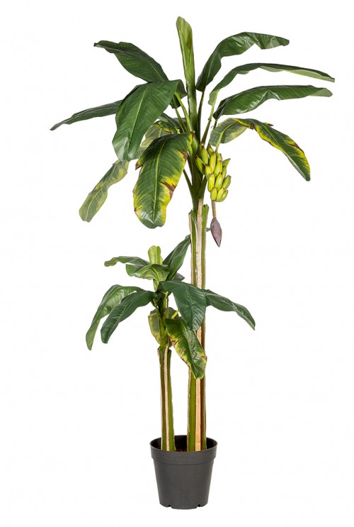 Kunstplant bananenboom Kunstplant bananenboom
